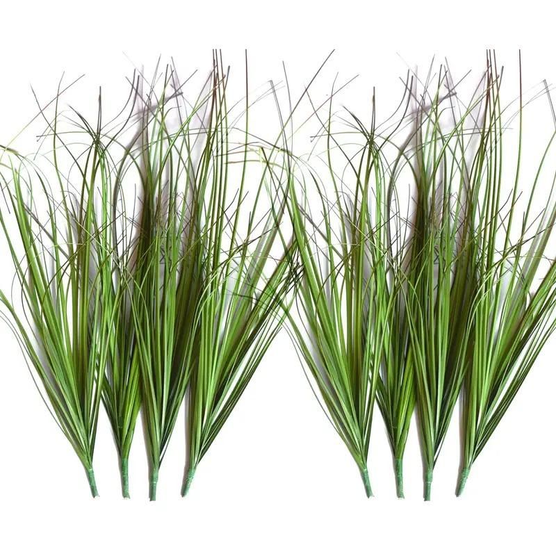 Live Grass Trees - Enhance Your Luck and Prosperity